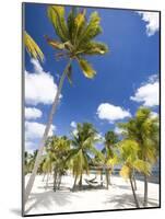 Southern Cross Club, Little Cayman, Cayman Islands, Caribbean-Greg Johnston-Mounted Photographic Print