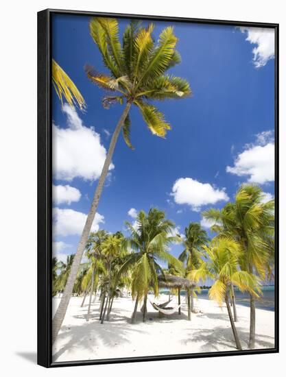 Southern Cross Club, Little Cayman, Cayman Islands, Caribbean-Greg Johnston-Framed Photographic Print