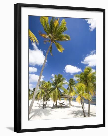 Southern Cross Club, Little Cayman, Cayman Islands, Caribbean-Greg Johnston-Framed Photographic Print