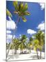 Southern Cross Club, Little Cayman, Cayman Islands, Caribbean-Greg Johnston-Mounted Photographic Print