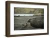 Southern Elephant Seal and Skua-null-Framed Photographic Print