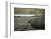 Southern Elephant Seal and Skua-null-Framed Photographic Print