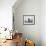 Southern elephant seal bull on beach showing threat behavior.-Martin Zwick-Framed Photographic Print displayed on a wall