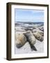 Southern Elephant Seal Males on Sandy Beach, Falkland Islands-Martin Zwick-Framed Photographic Print