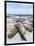 Southern Elephant Seal Males on Sandy Beach, Falkland Islands-Martin Zwick-Framed Photographic Print