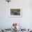 Southern Elephant Seal (Mirounga Leonina) Bull Mating with Female-Michael Nolan-Framed Photographic Print displayed on a wall