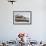 Southern Elephant Seal (Mirounga Leonina) Bull with Skua-Michael Nolan-Framed Photographic Print displayed on a wall