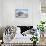 Southern elephant seal (Mirounga leonina) male on a sandy beach, Sea Lion Island, Falkland Islands-Marco Simoni-Stretched Canvas displayed on a wall