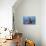 Southern elephant seal (Mirounga leonina) male roaring, Sea Lion Island-Marco Simoni-Photographic Print displayed on a wall