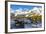 Southern Elephant Seal (Mirounga Leonina) Pups-Michael Nolan-Framed Photographic Print