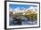 Southern Elephant Seal (Mirounga Leonina) Pups-Michael Nolan-Framed Photographic Print