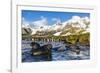 Southern Elephant Seal (Mirounga Leonina) Pups-Michael Nolan-Framed Photographic Print