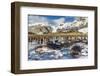 Southern Elephant Seal (Mirounga Leonina) Pups-Michael Nolan-Framed Photographic Print