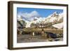 Southern Elephant Seal (Mirounga Leonina)-Michael Nolan-Framed Photographic Print