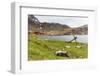 Southern Elephant Seal Pups (Mirounga Leonina) after Being Weaned, Grytviken Harbor, South Georgia-Michael Nolan-Framed Photographic Print