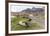 Southern Elephant Seal Pups (Mirounga Leonina) after Weaning in Grytviken Harbor, South Georgia-Michael Nolan-Framed Photographic Print