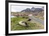 Southern Elephant Seal Pups (Mirounga Leonina) after Weaning in Grytviken Harbor, South Georgia-Michael Nolan-Framed Photographic Print