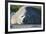 Southern Elephant Seal Relaxing in the Sand-DLILLC-Framed Photographic Print