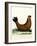 Southern Elephant Seal-null-Framed Giclee Print