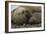 Southern Elephant Seals Mating-Joe McDonald-Framed Photographic Print