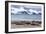 Southern Elephant Seals (Mirounga Leonina)-Michael Nolan-Framed Photographic Print