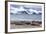 Southern Elephant Seals (Mirounga Leonina)-Michael Nolan-Framed Photographic Print