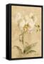 Southern Floral I-Cheri Blum-Framed Stretched Canvas