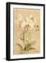 Southern Floral I-Cheri Blum-Framed Art Print