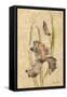 Southern Floral II-Cheri Blum-Framed Stretched Canvas