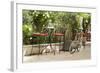 Southern France, St. Remy. Sidewalk Cafes-Emily Wilson-Framed Photographic Print