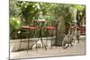 Southern France, St. Remy. Sidewalk Cafes-Emily Wilson-Mounted Photographic Print