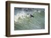Southern Fur Seals-null-Framed Photographic Print