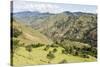 Southern highlands near Saraguro, Ecuador, South America-Tony Waltham-Stretched Canvas