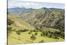 Southern highlands near Saraguro, Ecuador, South America-Tony Waltham-Stretched Canvas