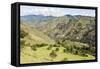 Southern highlands near Saraguro, Ecuador, South America-Tony Waltham-Framed Stretched Canvas