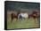 Southern Horses-Valtcho Tonov-Framed Stretched Canvas