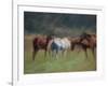 Southern Horses-Valtcho Tonov-Framed Art Print