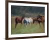 Southern Horses-Valtcho Tonov-Framed Art Print