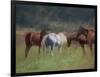 Southern Horses-Valtcho Tonov-Framed Premium Giclee Print