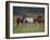 Southern Horses-Valtcho Tonov-Framed Art Print