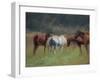 Southern Horses-Valtcho Tonov-Framed Art Print