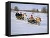 Southern Lapp Man with Reindeer Sledge, Roros, Norway, Scandinavia-Adam Woolfitt-Framed Stretched Canvas