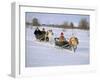 Southern Lapp Man with Reindeer Sledge, Roros, Norway, Scandinavia-Adam Woolfitt-Framed Photographic Print