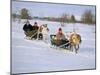 Southern Lapp Man with Reindeer Sledge, Roros, Norway, Scandinavia-Adam Woolfitt-Mounted Photographic Print