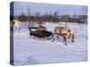 Southern Lapp with Reindeer Sledge, Roros, Norway, Scandinavia-Adam Woolfitt-Stretched Canvas