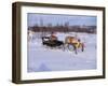 Southern Lapp with Reindeer Sledge, Roros, Norway, Scandinavia-Adam Woolfitt-Framed Photographic Print