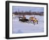 Southern Lapp with Reindeer Sledge, Roros, Norway, Scandinavia-Adam Woolfitt-Framed Photographic Print