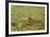 Southern Leopard Frog, Rana sphenocephala, Kentucky-Adam Jones-Framed Photographic Print