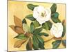 Southern Magnolia I-Kris Taylor-Mounted Art Print