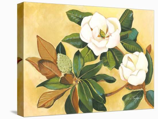 Southern Magnolia I-Kris Taylor-Stretched Canvas
